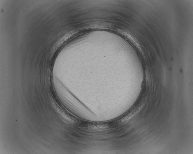 X0000067520445200604281638