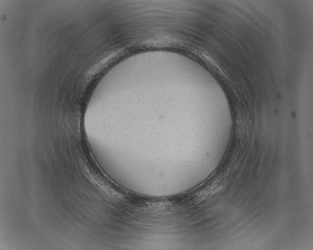 X0000067520446200604281638