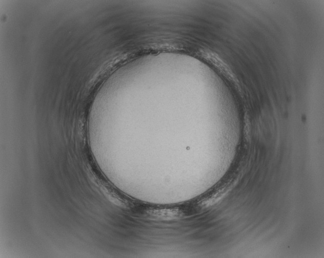 X0000067520449200604281638