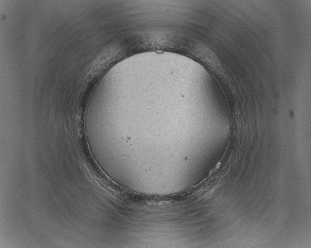 X0000067520450200604281638