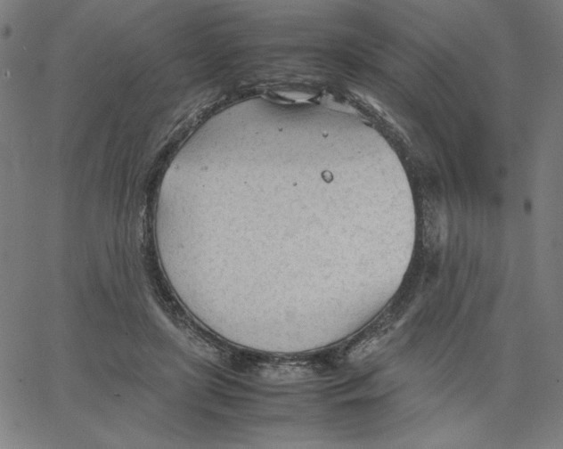 X0000067520451200604281638