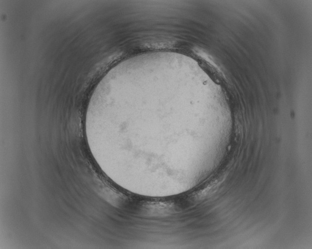 X0000067520453200604281638