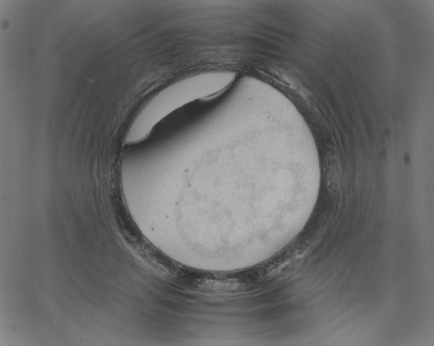 X0000067520455200604281638