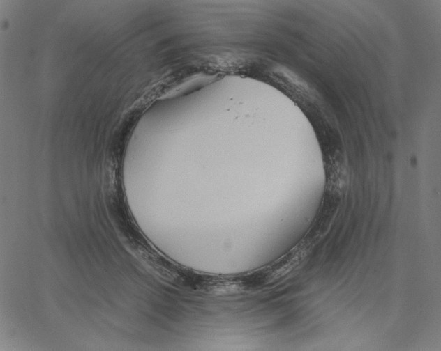 X0000067520456200604281638