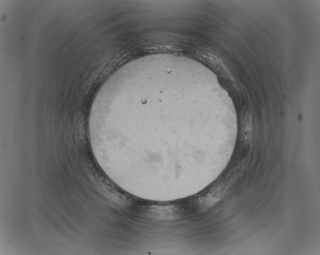 X0000067520457200604281638