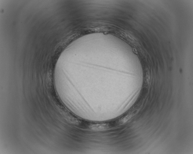 X0000067520461200604281638