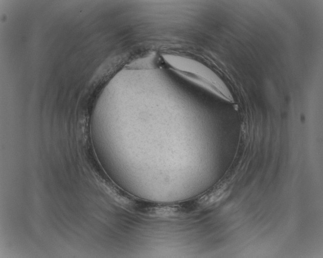 X0000067520462200604281638