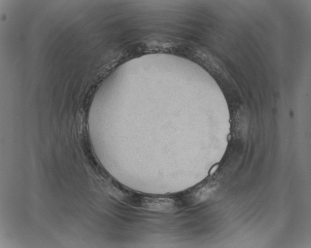 X0000067520463200604281638