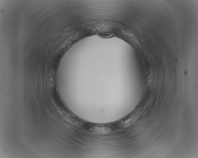 X0000067520464200604281638