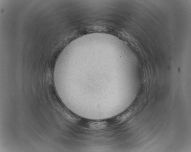 X0000067520465200604281638