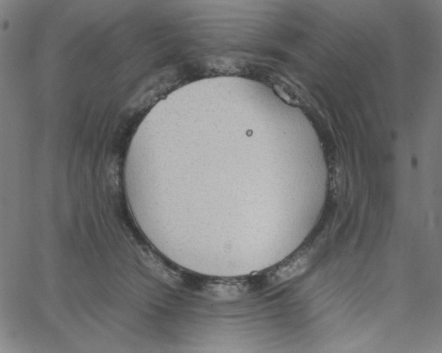 X0000067520466200604281638