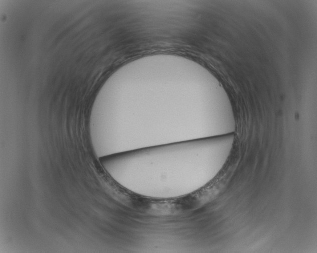 X0000067520470200604281638