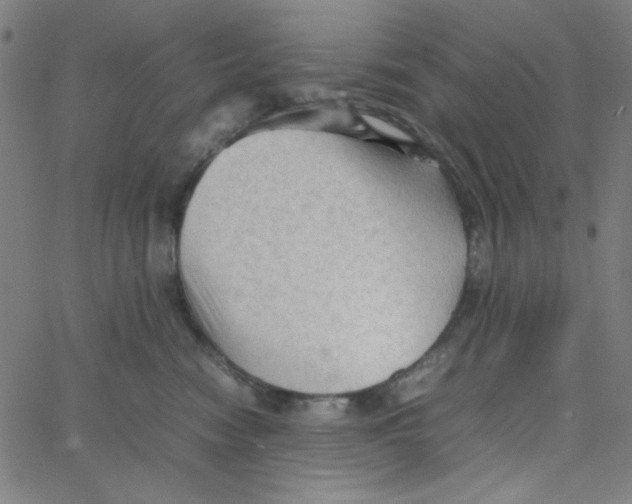 X0000067520474200604281639