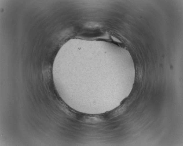 X0000067520475200604281639