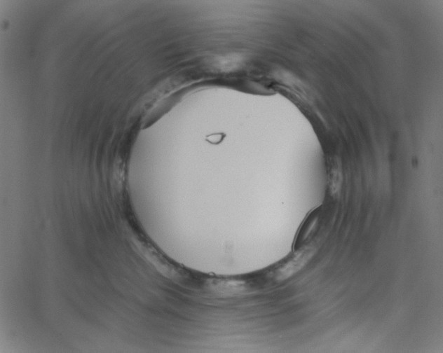 X0000067520476200604281639