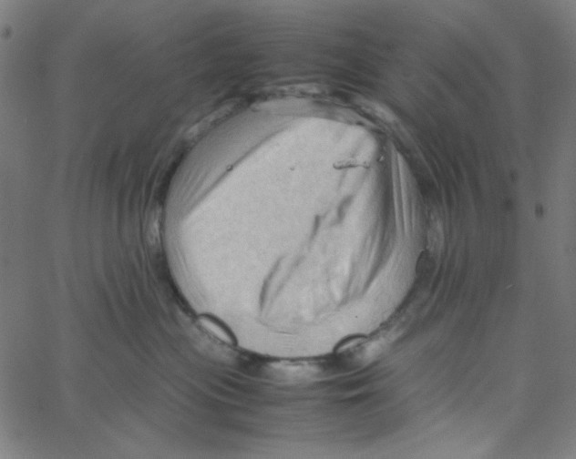 X0000067520477200604281639