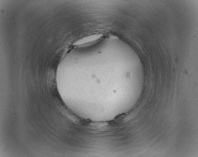 X0000067520480200604281639