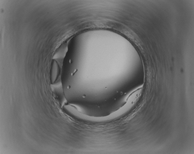 X0000067520481200604281638