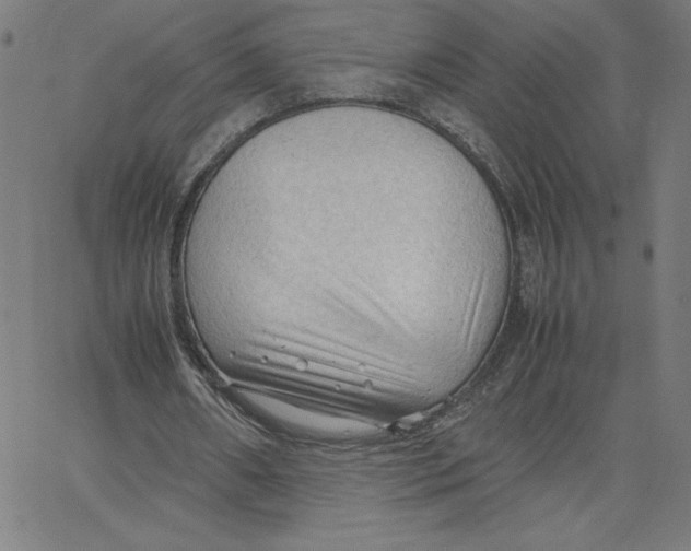 X0000067520482200604281638