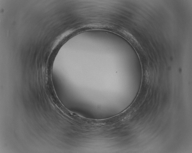 X0000067520484200604281638