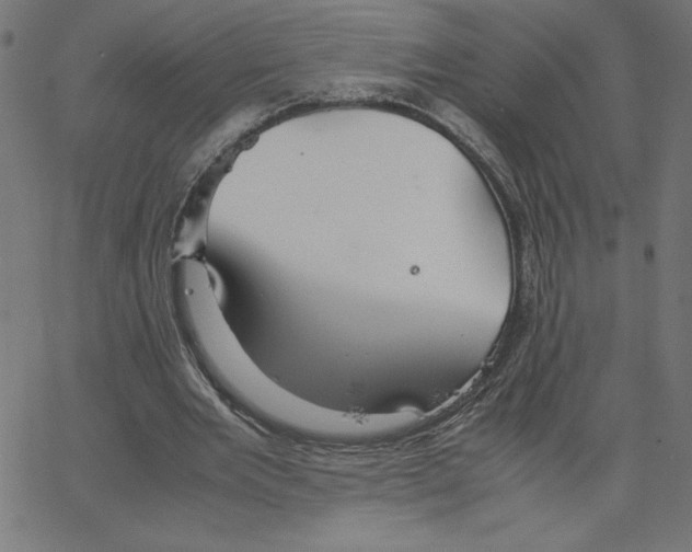 X0000067520485200604281638