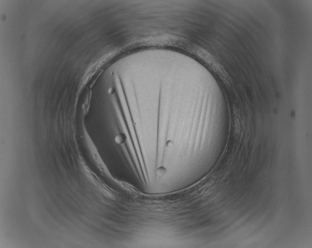 X0000067520486200604281638