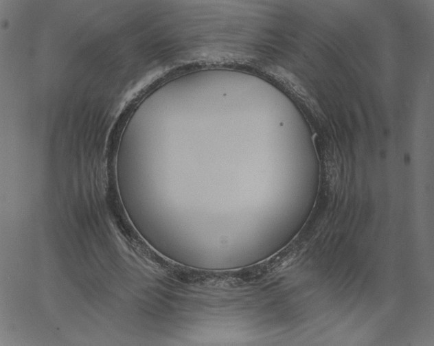 X0000067520488200604281638