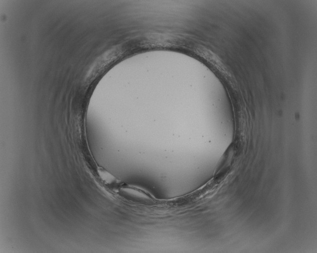 X0000067520489200604281638