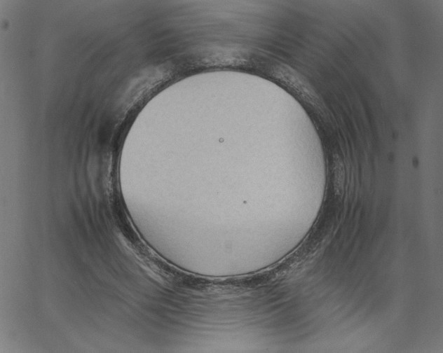 X0000067520490200604281638