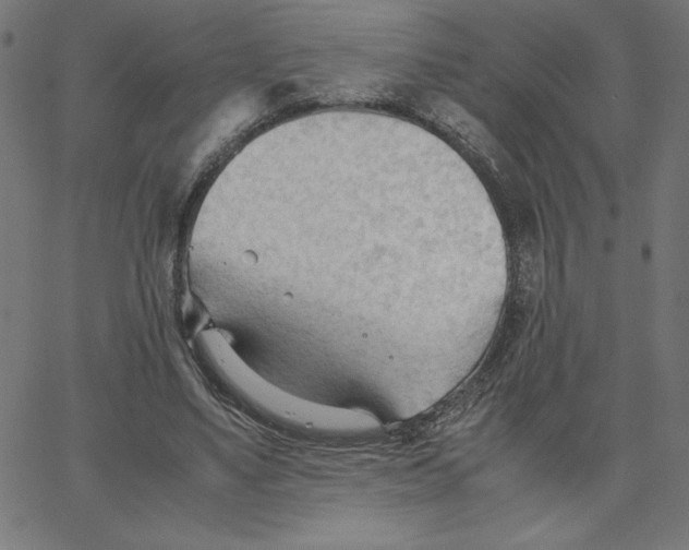 X0000067520491200604281638