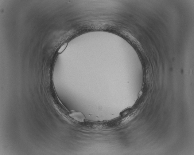 X0000067520493200604281638