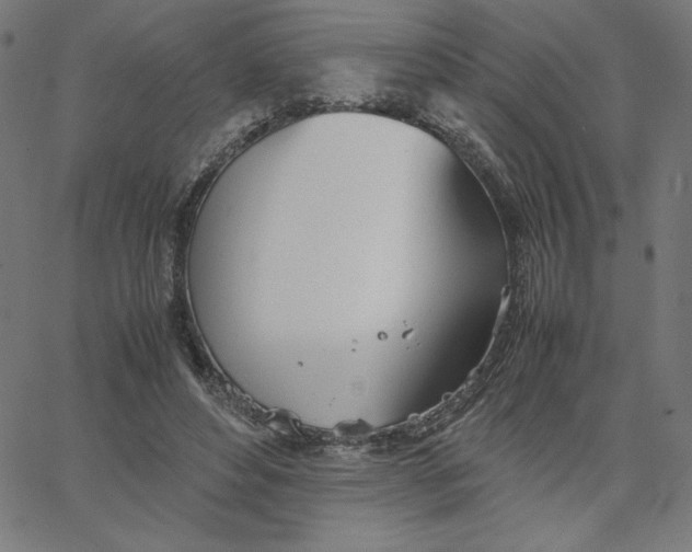 X0000067520496200604281638