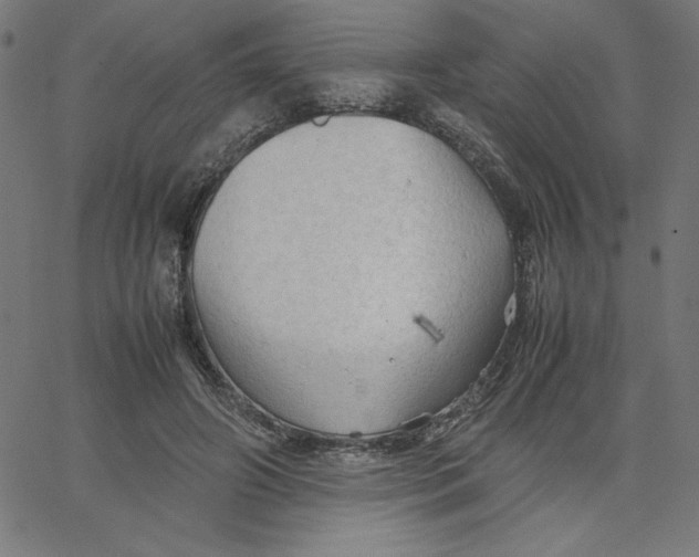 X0000067520498200604281638