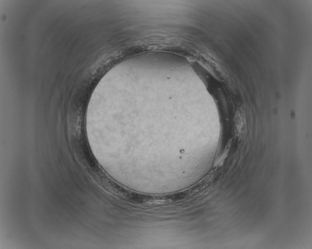 X0000067520499200604281638