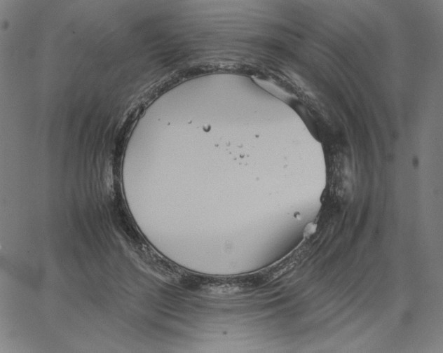 X0000067520500200604281638