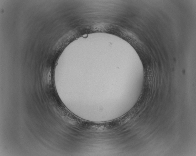 X0000067520502200604281638