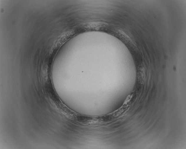 X0000067520504200604281637