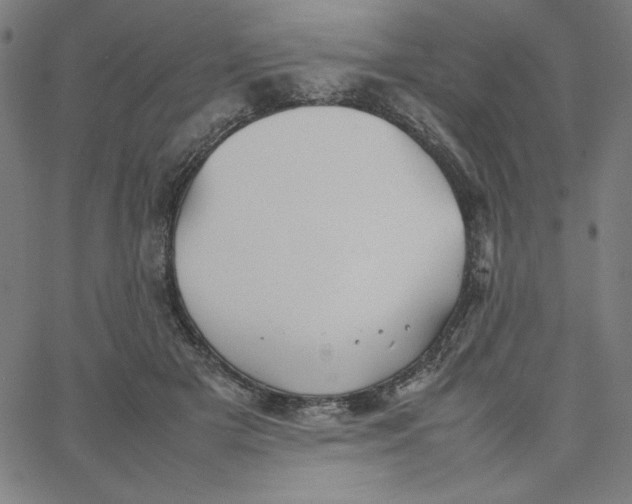 X0000067520505200604281637