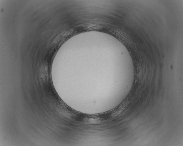 X0000067520506200604281637