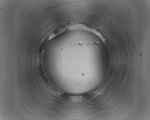 X0000067520508200604281637