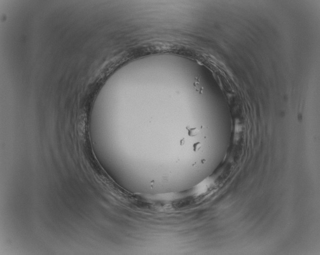 X0000067520509200604281637