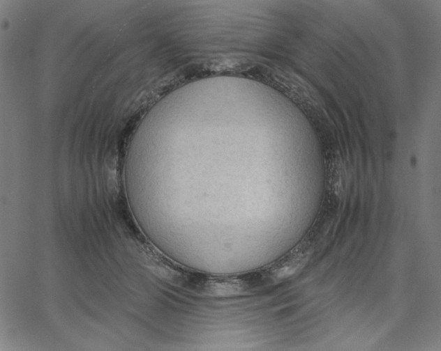 X0000067520510200604281637