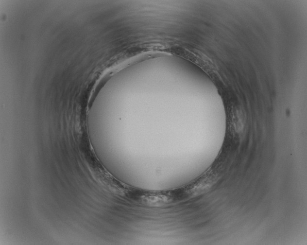 X0000067520512200604281637