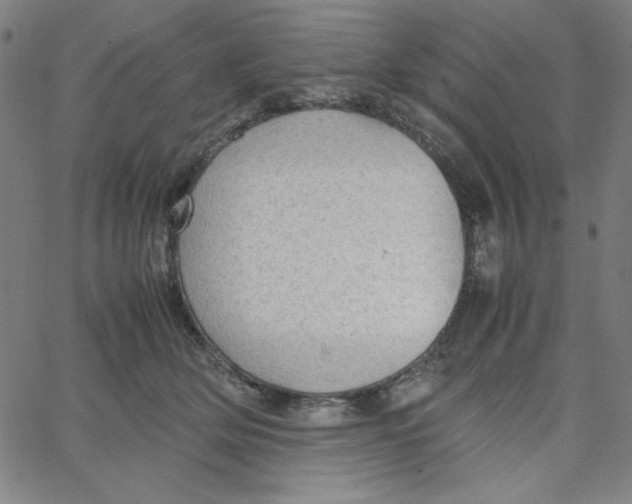 X0000067520514200604281637