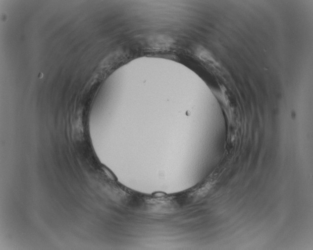 X0000067520516200604281637