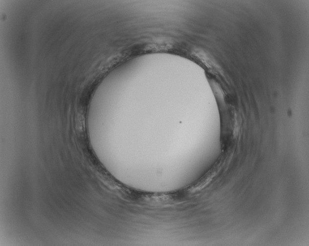 X0000067520517200604281637