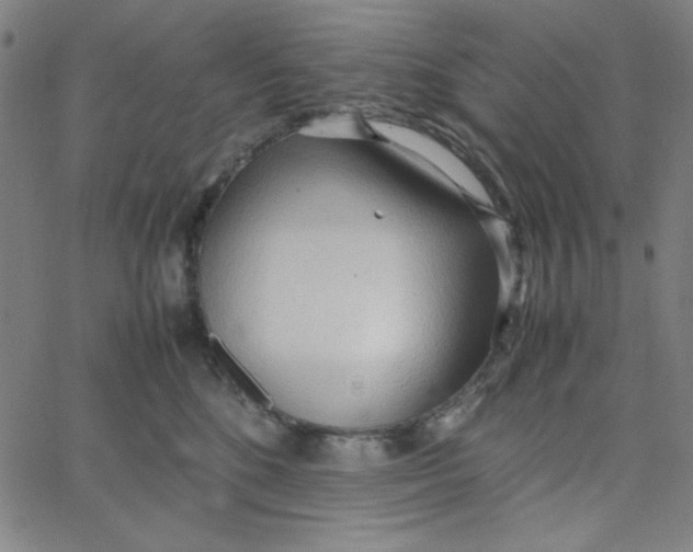 X0000067520520200604281637