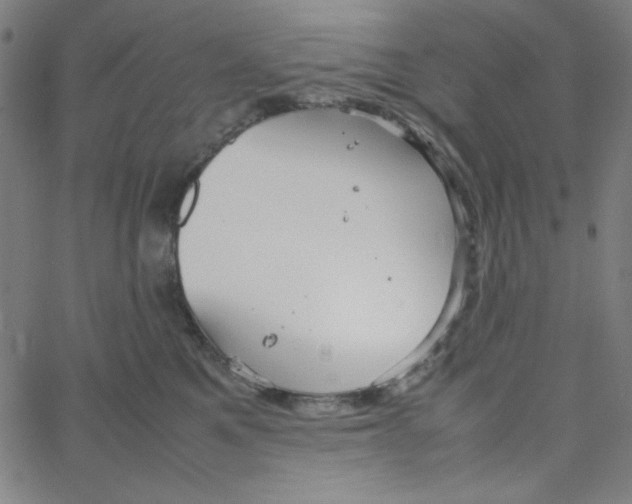 X0000067520521200604281637