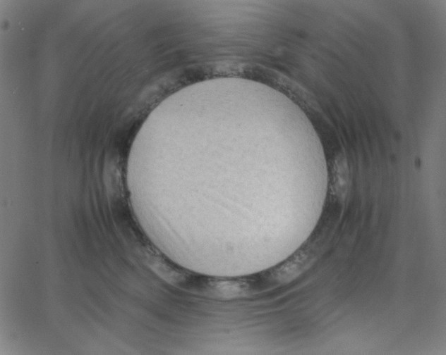 X0000067520522200604281637