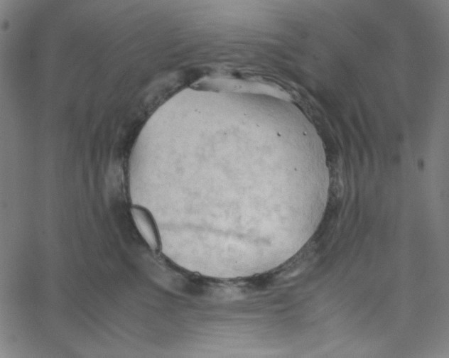 X0000067520523200604281637